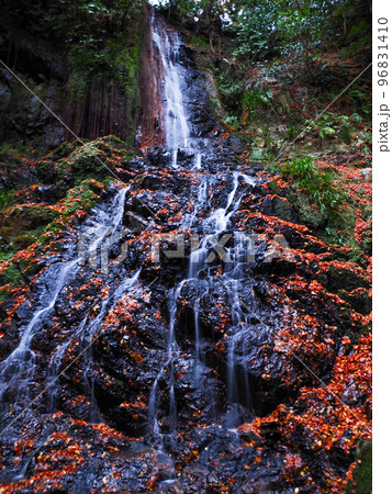 紅葉が美しい天神の滝(山口市徳地鯖河内) 紅葉が美しい天神の滝(山口市徳地鯖河内) 96831410
