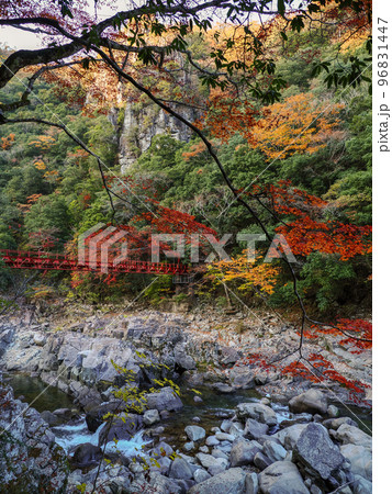 紅葉橋と長門峡の景色(萩市) 紅葉橋と長門峡の景色(萩市) 96831447