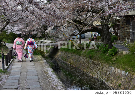 日本の京都　哲学の道　満開の桜と小川　散った花びらが水面を流れる花筏　着物を着て散歩をする女性二人組 96831656
