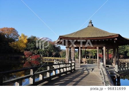 奈良公園の紅葉 奈良公園の紅葉 96831699