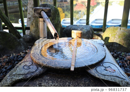 奈良公園の紅葉 96831737