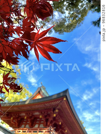 氷川神社境内の紅葉 氷川神社境内の紅葉 96832816