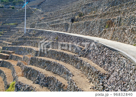 愛媛県/ 遊子水荷浦の段畑 ・遊子水荷浦の段々畑　 96832840