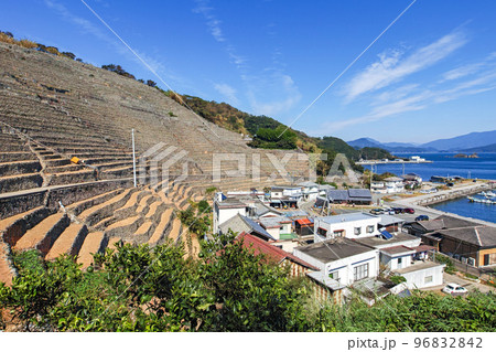 愛媛県/ 遊子水荷浦の段畑 ・遊子水荷浦の段々畑　 96832842