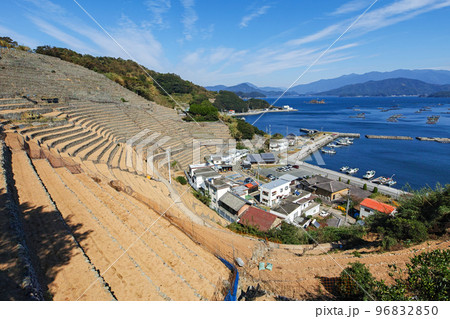 愛媛県/ 遊子水荷浦の段畑 ・遊子水荷浦の段々畑　 96832850