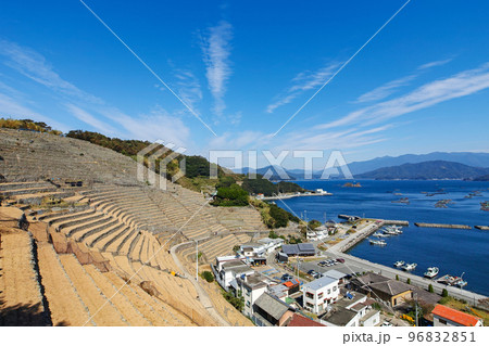 愛媛県/ 遊子水荷浦の段畑 ・遊子水荷浦の段々畑　 96832851