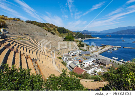 愛媛県/ 遊子水荷浦の段畑 ・遊子水荷浦の段々畑　 96832852