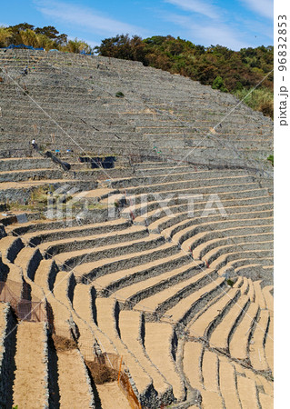 愛媛県/ 遊子水荷浦の段畑 ・遊子水荷浦の段々畑　 96832853