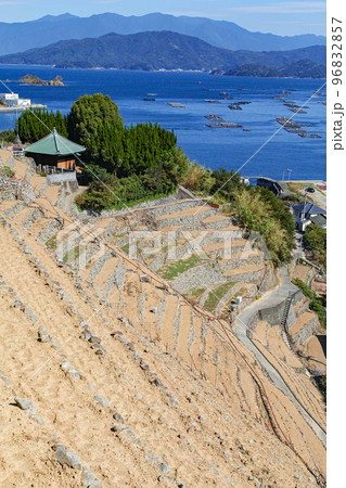 愛媛県/ 遊子水荷浦の段畑 ・遊子水荷浦の段々畑　 96832857