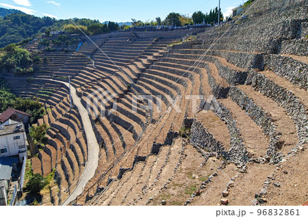 愛媛県/ 遊子水荷浦の段畑 ・遊子水荷浦の段々畑　 96832861
