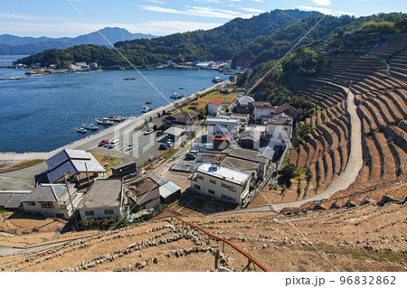 愛媛県/ 遊子水荷浦の段畑 ・遊子水荷浦の段々畑　 96832862