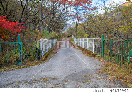 旧足尾町立本山小学校　校舎前　通学路　秋の風景　 96832999