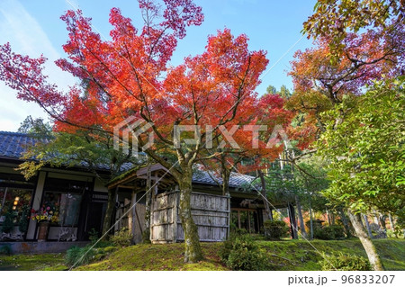 光を浴びて輝くカラフルなモミジの紅葉と日本家屋のコラボ情景 96833207