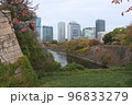 大阪城お堀秋の風景と大阪ビジネスパークのビルディング 96833279