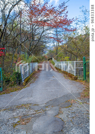 旧足尾町立本山小学校 校舎前 通学路 秋の風景 旧足尾町立本山小学校 校舎前 通学路 秋の風景 96833388