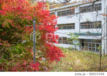 旧足尾町立本山小学校　懐かしの校舎　秋の風景　 96833568