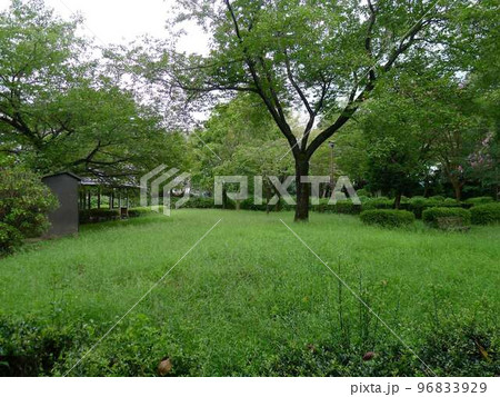 藤橋城址　　　（東京都青梅市） 96833929