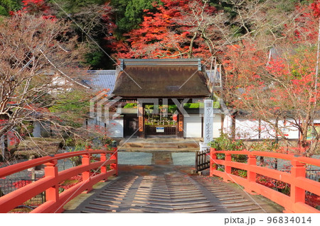 秋の室生寺(太鼓橋・奈良県宇陀市) 秋の室生寺(太鼓橋・奈良県宇陀市) 96834014