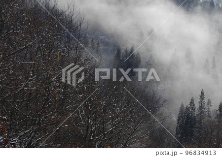 越後妻有の世界 越後妻有の世界 96834913