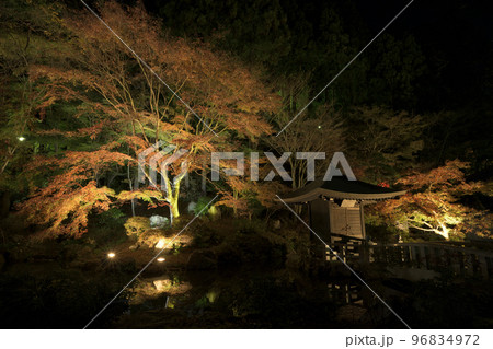 もみじまつり　法多山 96834972