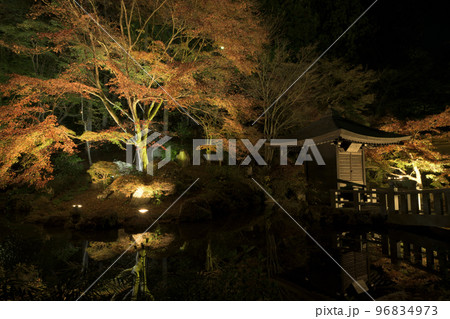 もみじまつり 法多山 もみじまつり 法多山 96834973