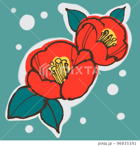 綺麗な赤い椿の花 綺麗な赤い椿の花 96835391