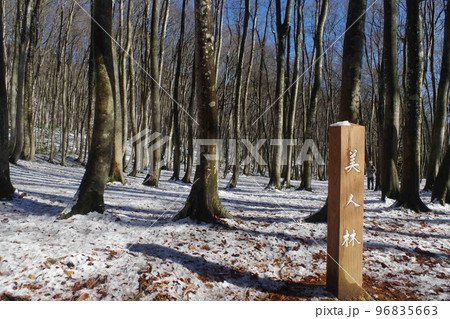 越後妻有の世界 96835663