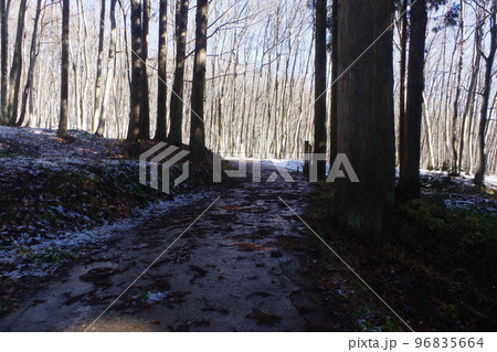 越後妻有の世界 越後妻有の世界 96835664