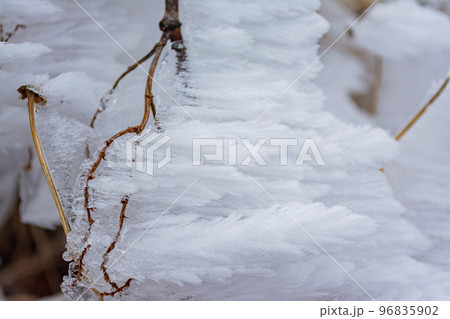 Snowy landscape of the Hehuanshan mountain 96835902