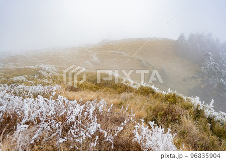 Snowy landscape of the Hehuanshan mountain 96835904