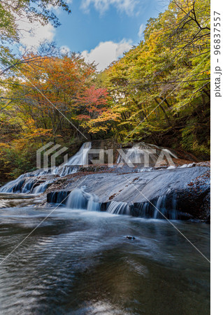見頃の紅葉と熊のすべり台 96837557