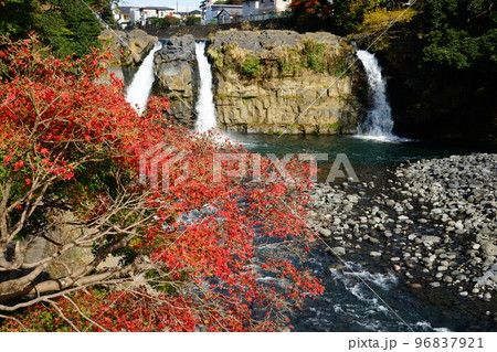 静岡県裾野市の裾野市中央公園の五竜の滝と紅葉の風景 静岡県裾野市の裾野市中央公園の五竜の滝と紅葉の風景 96837921