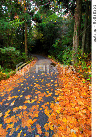 秋の終わりを告げるイメージ 96838561