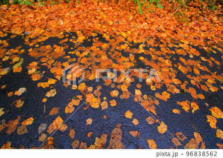 秋の終わりを告げるイメージ 96838562