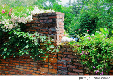 北海道紀行 7月の上野ファーム 午後のガーデン 北海道ガーデン街道 北海道紀行 7月の上野ファーム 午後のガーデン 北海道ガーデン街道 96839082