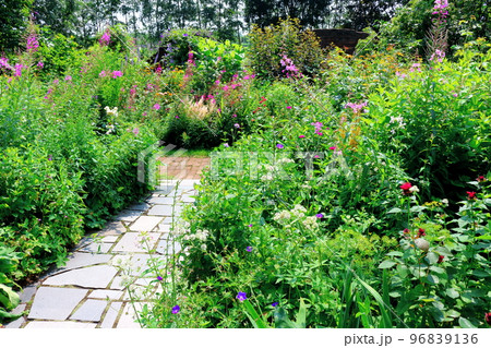 北海道紀行　7月の上野ファーム　午後のガーデン　北海道ガーデン街道 96839136