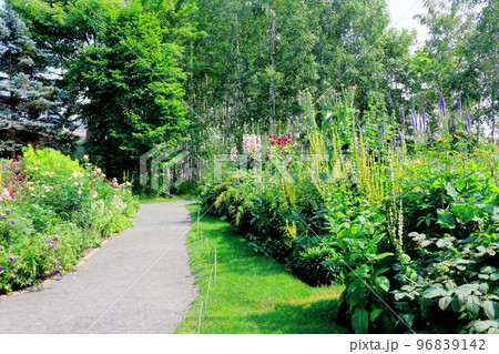 北海道紀行 7月の上野ファーム 午後のガーデン 北海道ガーデン街道 北海道紀行 7月の上野ファーム 午後のガーデン 北海道ガーデン街道 96839142