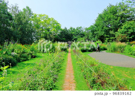 北海道紀行　7月の上野ファーム　午後のガーデン　北海道ガーデン街道 96839162