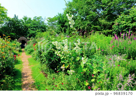 北海道紀行　7月の上野ファーム　午後のガーデン　北海道ガーデン街道 96839170