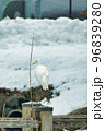 雪の中の野鳥 96839280