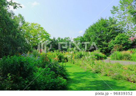 北海道紀行　7月の上野ファーム　午後のガーデン　北海道ガーデン街道 96839352