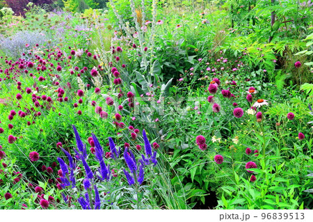 北海道紀行　7月の上野ファーム　午後のガーデン　北海道ガーデン街道 96839513