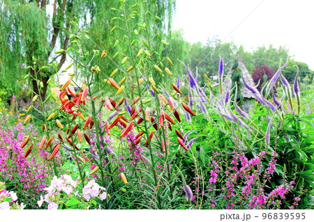 北海道紀行　7月の上野ファーム　午後のガーデン　北海道ガーデン街道 96839595