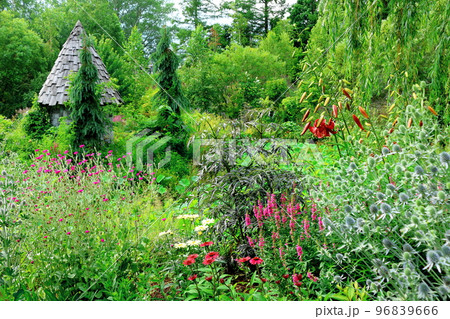 北海道紀行　7月の上野ファーム　午後のガーデン　北海道ガーデン街道 96839666