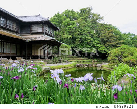 熊本県八代市 「旧熊本藩八代城主浜御茶屋(松浜軒)庭園」 熊本県八代市 「旧熊本藩八代城主浜御茶屋(松浜軒)庭園」 96839821