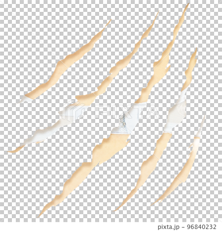 Bra visible through claw marks 96840232