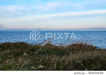 湘南三浦半島の名所の黒崎の鼻（神奈川県三浦市）の冬 96840699