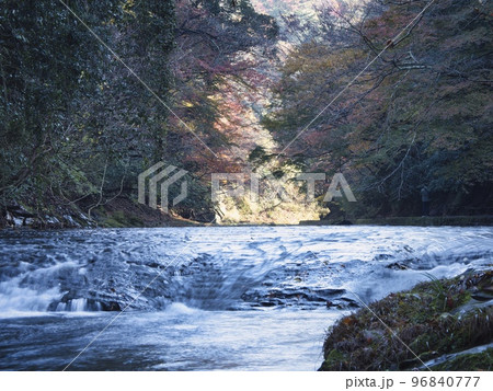 養老渓谷の晩秋 96840777
