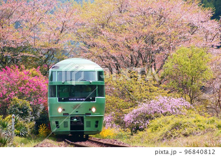 桜のトンネルの駅・豊後中川を通過する特急ゆふいんの森 96840812