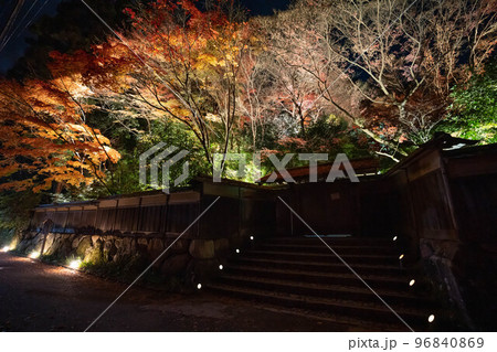 瑠璃光院の門前ライトアップ 96840869